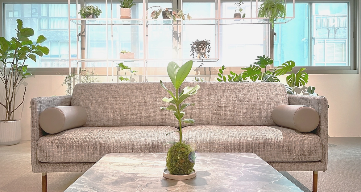 日安健康診所的綠植與窗光